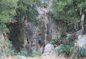 spilaio
